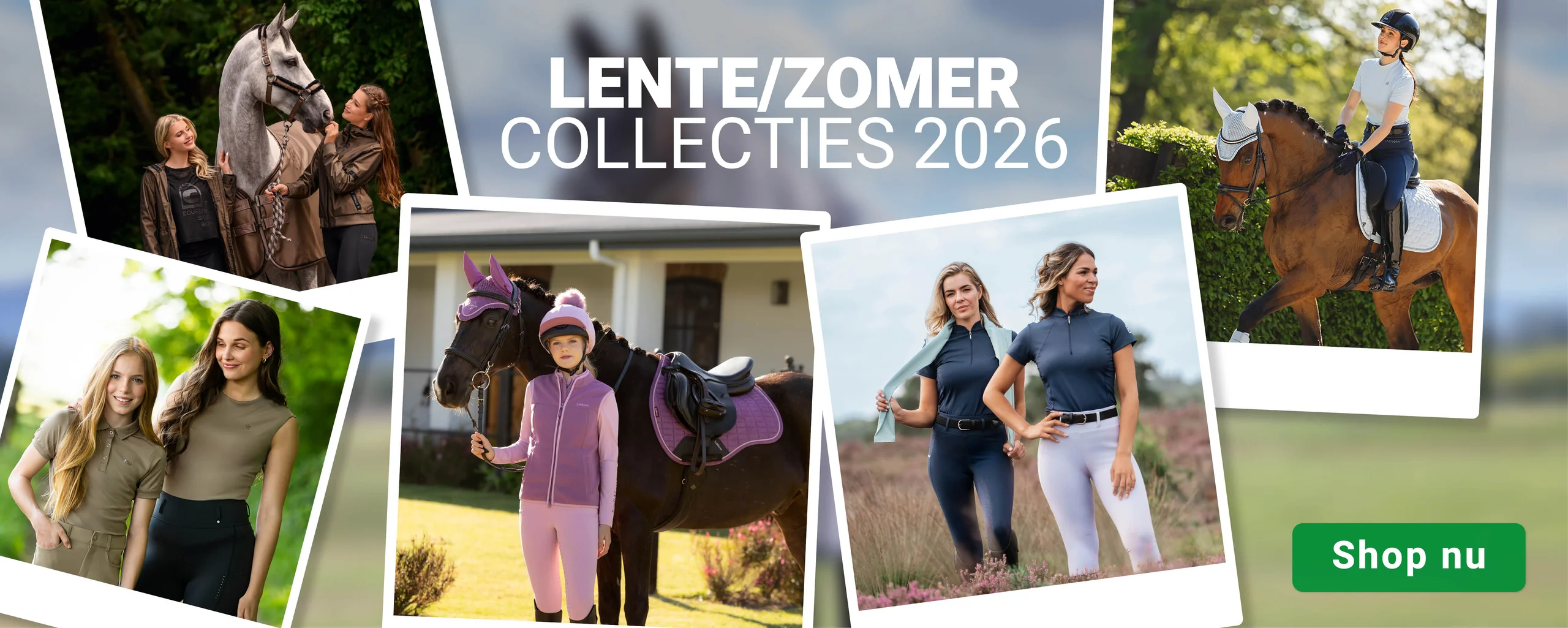 Welcome to Our Store